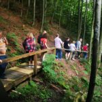 Brown Bears in the wild, no fence - The Unique Location of the Wildlife Observation Hide