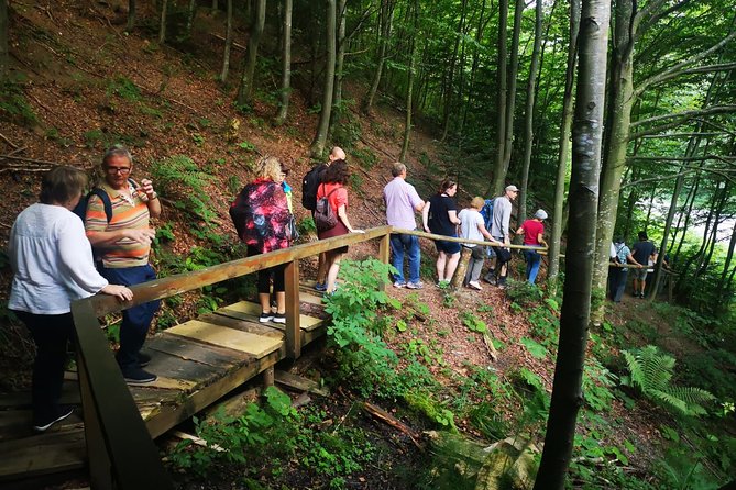 Brown Bears in the wild, no fence - The Unique Location of the Wildlife Observation Hide