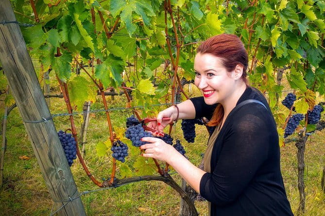 Brunello and Nobile, Wine Lover Tour Montalcino and Montepulciano - Exploring Montepulciano’s Piazza Grande and Renaissance Charm