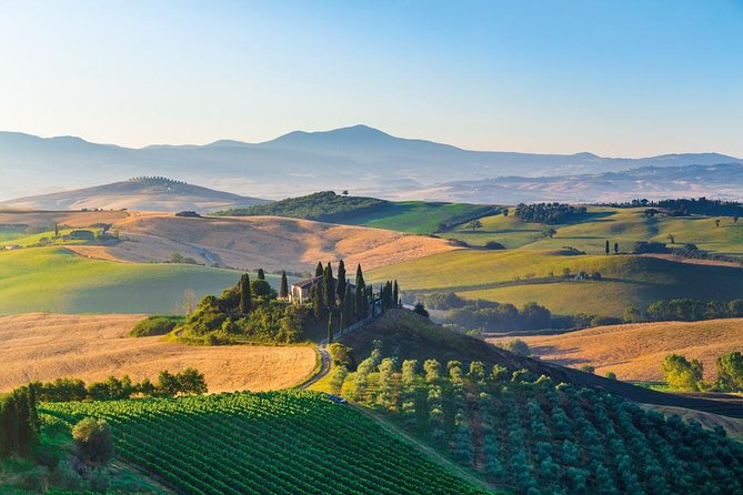 Brunello Wine Tasting from San Gimignano - Scenic Drive Through Tuscany’s Countryside