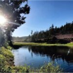 Bryce Canyon: 2-Hour, 4-Seat or 5-Seat ATV Rental - Starting Point at Bryce Wildlife Museum Parking Lot