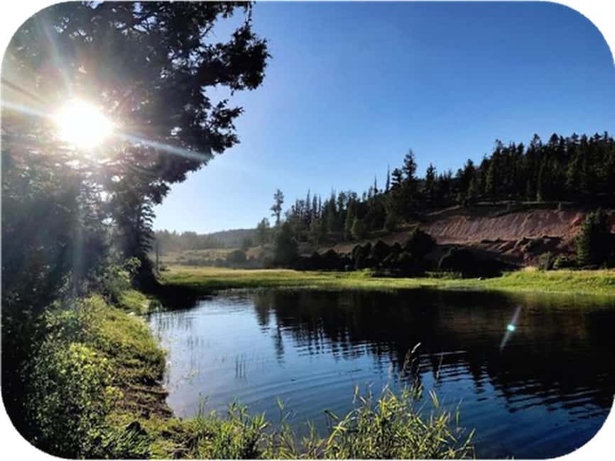 Bryce Canyon: 2-Hour, 4-Seat or 5-Seat ATV Rental - Starting Point at Bryce Wildlife Museum Parking Lot
