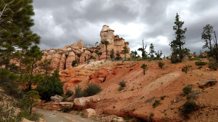 Bryce Canyon Hiking Challenge - What Makes the Bryce Canyon Trails Unique