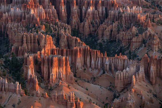 Bryce Canyon Photography Tours - What Is Included in the Tour