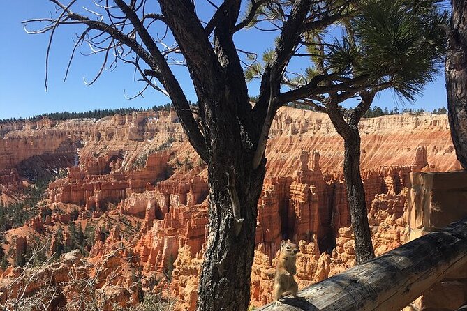 Bryce Canyon Private Tour - Practical Details: Meeting Point and Customization