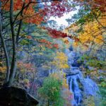 Bryson City: Chasing Waterfalls Guided Hiking Tour - What Waterfalls Will Be Visited on This Tour?