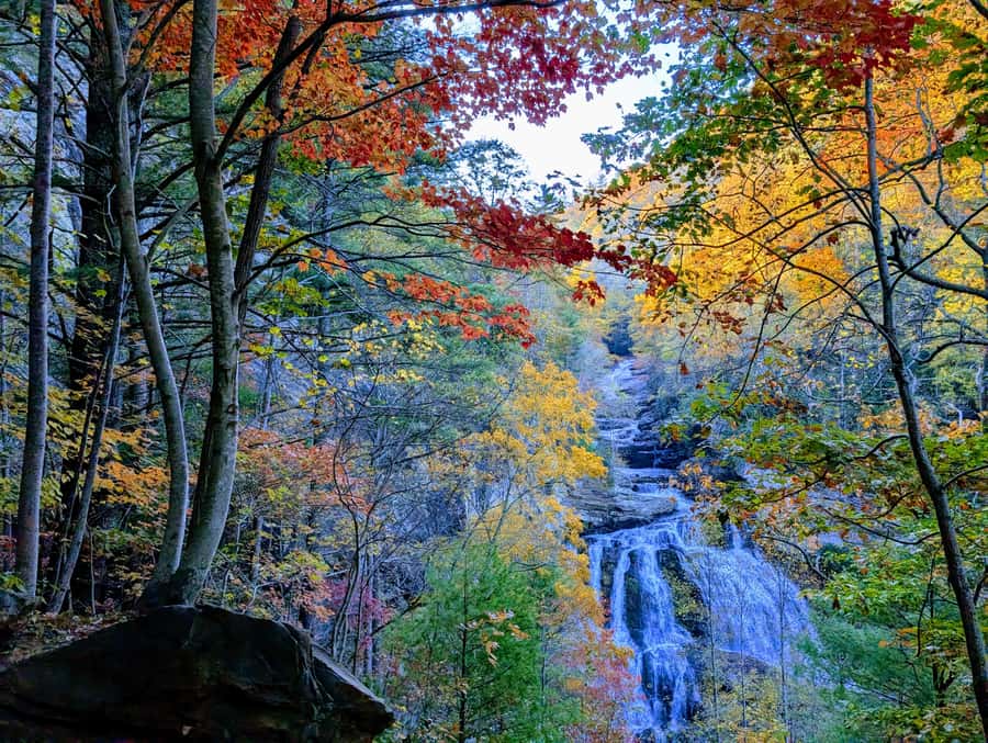 Bryson City: Chasing Waterfalls Guided Hiking Tour - What Waterfalls Will Be Visited on This Tour?
