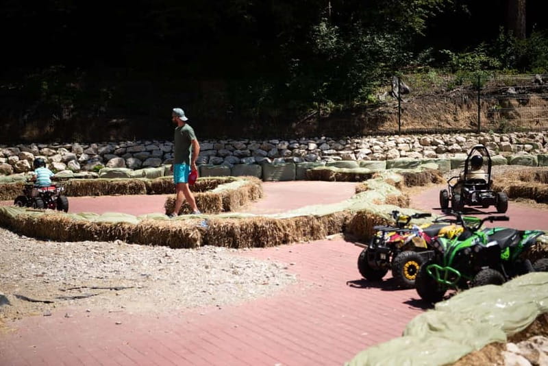 Bucharest: Bear Sanctuary and Draculas Castle Day Trip - Visiting the Libearty Bear Sanctuary in Zarnesti