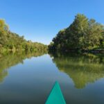 Budapest: Canoeing the Danube w or wo Sauna or Danube Beach - Discover the Danubes Most Beautiful Section by Canoe