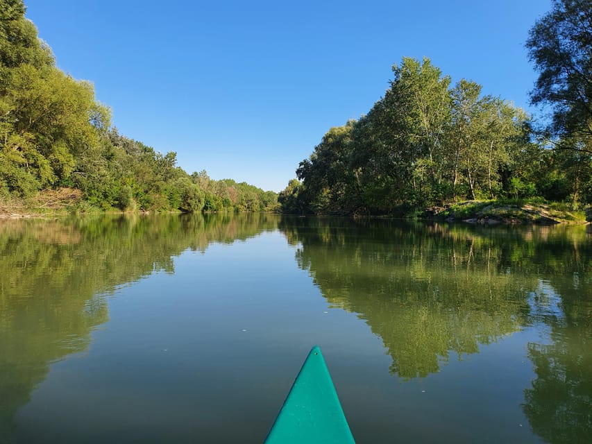 Budapest: Canoeing the Danube w or wo Sauna or Danube Beach - Discover the Danubes Most Beautiful Section by Canoe