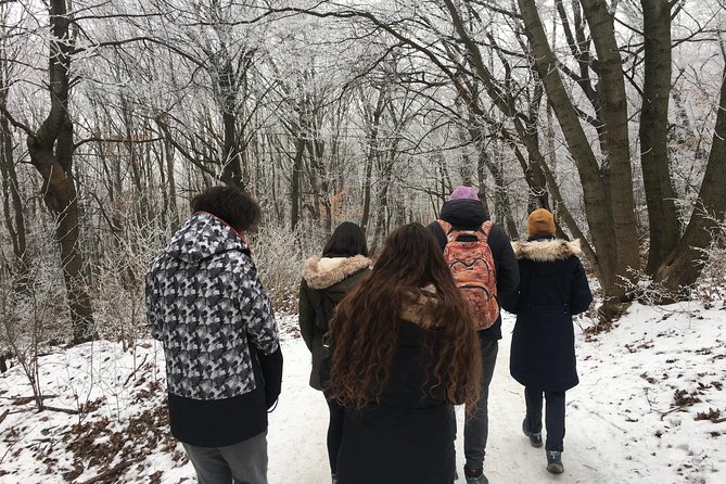 Budapest Hike - Iconic Lookout Points and Panoramic Views