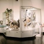 Buffalo: Admission Ticket to Buffalo Museum of Science - Exploring the Interactive Science Studios