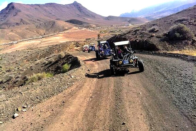 Buggy Safari In Costa Calma - Scenic Stops with Panoramic Views of Playa del Rey and Playa Sotovento