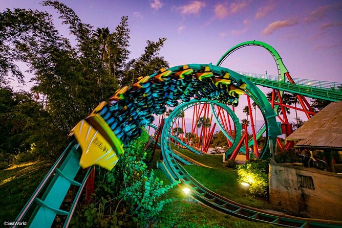 Busch Gardens Tampa Bay Admission Ticket - Busch Gardens Tampa: A Large-Scale Animal Park and Theme Park Combo