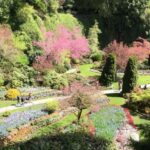 Butchart & Beyond: The Grand Victoria Tour - Discovering Victoria’s Gardens: From Butchart to Hidden Gems
