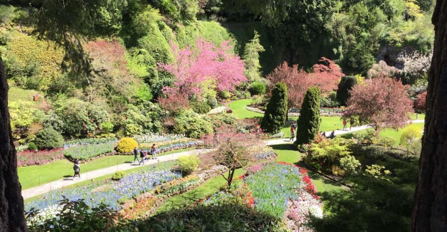 Butchart & Beyond: The Grand Victoria Tour - Discovering Victoria’s Gardens: From Butchart to Hidden Gems