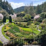 Butchart Gardens Spring & Summer Bloom Highlights (4hr tour) - Scenic Victoria Drive and City Highlights