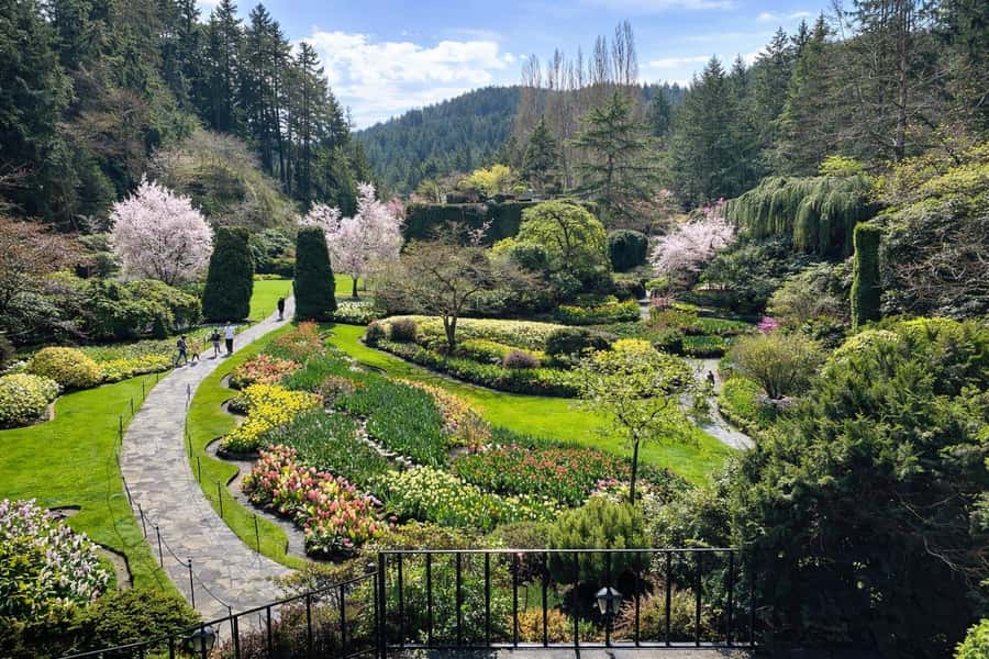 Butchart Gardens Spring & Summer Bloom Highlights (4hr tour) - Scenic Victoria Drive and City Highlights