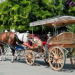 Buyukada Princes Island Guided Day Tour with lunch from Istanbul - Disembarking on Büyükada and the Lack of Vehicles