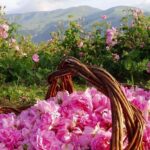 Buzludzha Monument and the Rose Valley Guided Day Tour - Scenic Drive through Sredna Gora and Thracian Valley