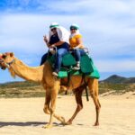 Cabo Camel Ride Experience - The Playa Migrino Stop and Its Scenic Setting