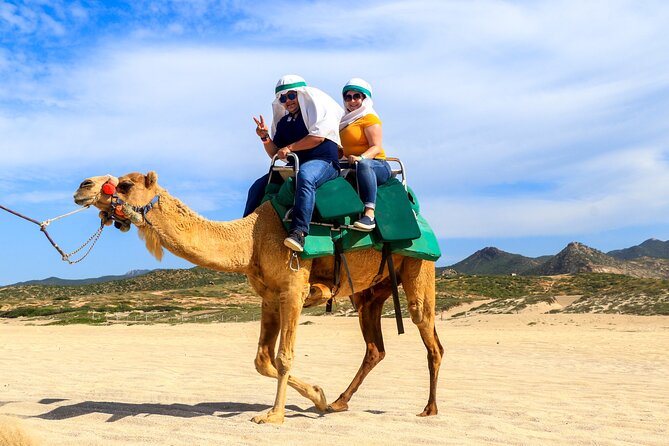 Cabo Camel Ride Experience - The Playa Migrino Stop and Its Scenic Setting