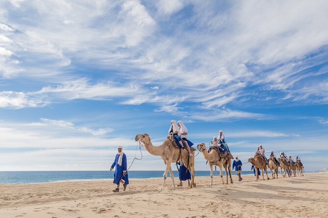 Cabo Camel Ride, Mexican Buffet and Tequila Tasting - The Camel Safari Along Baja’s Shores