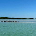 Cabo Catoche Snorkel And Fishing - Cabo Catoche: The Starting Point for Marine Adventures