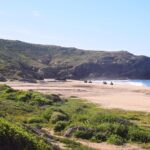 Cabo Migrino Beach & Desert Tour (Quad UTV) - Off-Road Trails and Desert Adventure Highlights