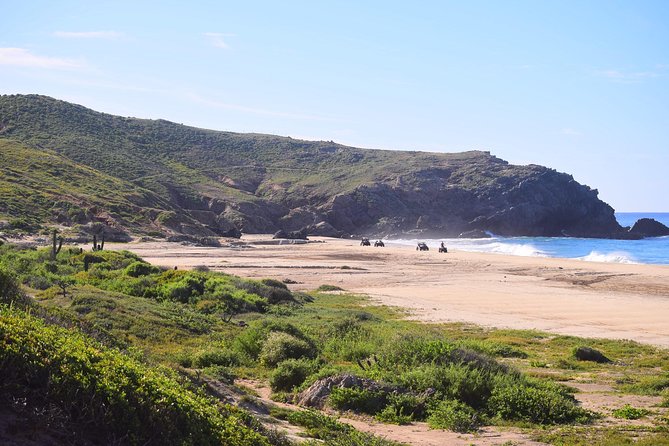 Cabo Migrino Beach & Desert Tour (Quad UTV) - Off-Road Trails and Desert Adventure Highlights