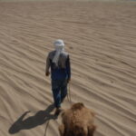 Cabo San Lucas: Amazing Camel Adventure on the Beach - Convenient Round-Trip Transportation from Los Cabos