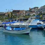 Cabo San Lucas: Arch Tour Glass Bottom Boat - Navigating the Waters: From the Coastline to The Arch