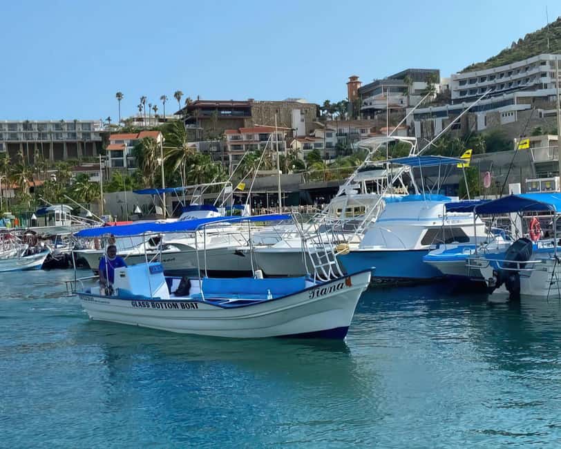 Cabo San Lucas: Arch Tour Glass Bottom Boat - Navigating the Waters: From the Coastline to The Arch
