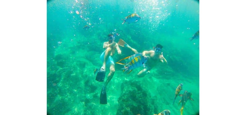 Cabo San Lucas: Beach Hopper Small-Group Snorkeling Tour - Departure and Arrival at La Terminal de Cabo