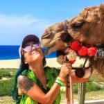 Cabo San Lucas: Camel Ride on the Beach - Starting Point at Migriño Beach in Baja California Sur