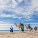 Cabo San Lucas: Camel Safari Tour with Lunch and Tequila - The Starting Point at the Secluded Ranch with Pacific Views
