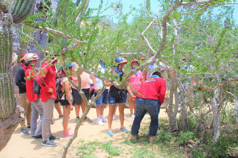 Cabo San Lucas: Candelaria Village ATV Tour - Pickup and Transportation Logistics in Baja