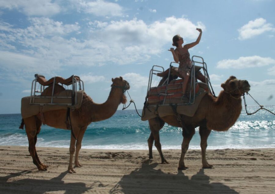 Cabo San Lucas: Combo Vehicle plus Camel or Horse Tour - Starting from Cabo San Lucas’ Diverse Terrain