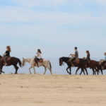 Cabo San Lucas: Horseback Riding Adventure - Starting Point and Tour Schedule in Cabo San Lucas
