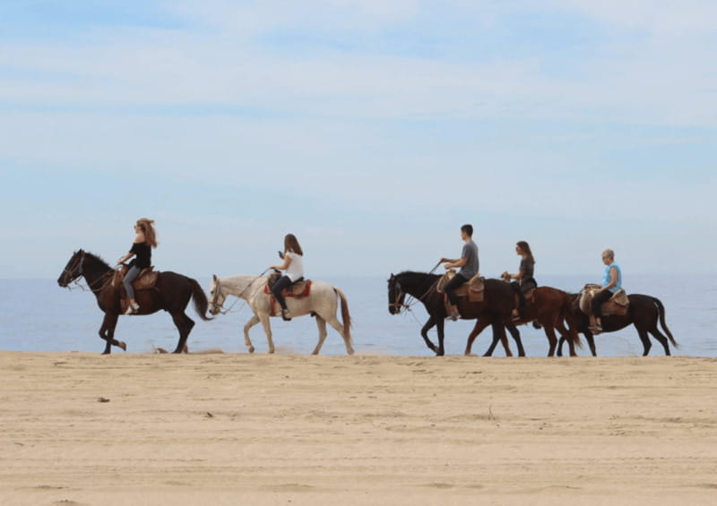 Cabo San Lucas: Horseback Riding Adventure - Starting Point and Tour Schedule in Cabo San Lucas