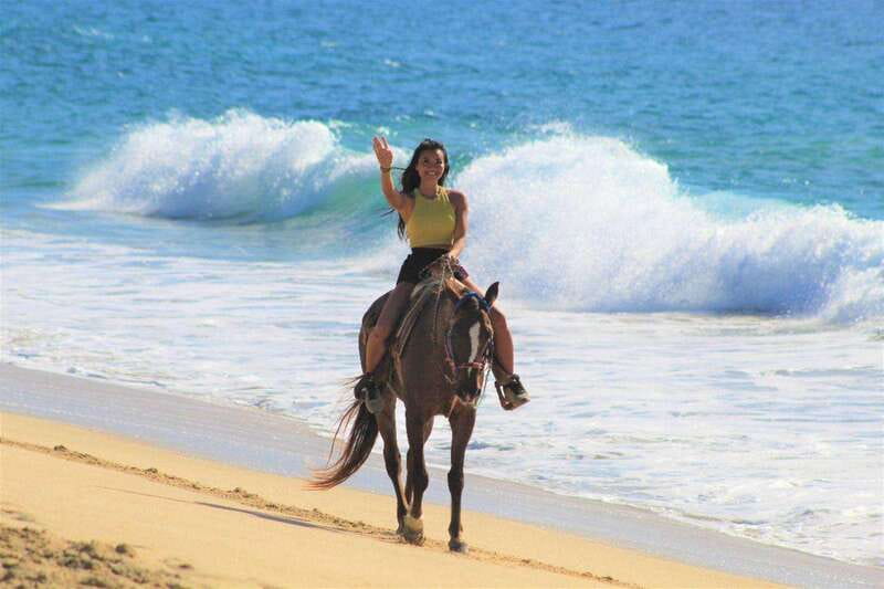 Cabo San Lucas: Horseback Riding Corredor Turistico - Starting Locations and Hotel Pickups in Los Cabos