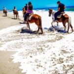 Cabo San Lucas: Horseback Riding in Migriño with Transfers - Convenient Pickup Locations from San José del Cabo and Cabo San Lucas