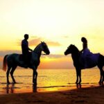 Cabo San Lucas: Intimate Sunset Horseback Ride and Dinner - Sunset Arrival at a Secluded Beach Location