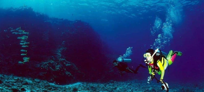 Cabo San Lucas: Marine Reserve Dive - The Iconic Landmarks of Land’s End and Lover’s Beach