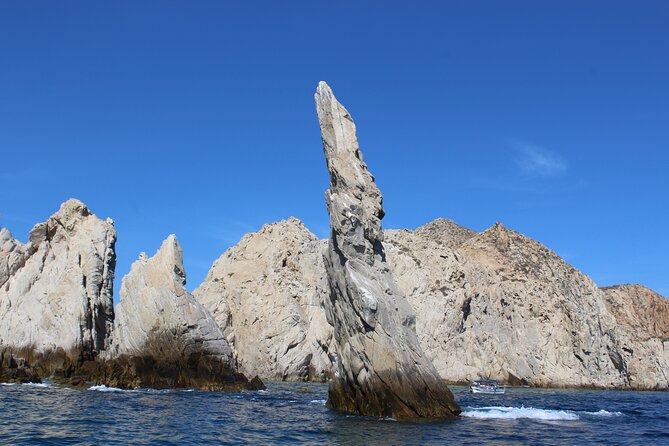 Cabo San Lucas Pirate Snorkel Tour - Snorkeling in the Sea of Cortez at Playa el Chileno