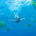 Cabo San Lucas: Snorkel, Paddle-board, and/or Kayak Tour - Exploring Water Activities: Snorkeling, Kayaking, Paddleboarding, and Sea Scooters