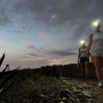 Cabo San Lucas: Todos Santos Sunset Hike - The Unique Charm of Todos Santos: A Jesuit Village