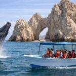 Cabo San Lucas Tour | Arch, Lovers Beach & Whale Waching - Whale Watching in Cabo’s Seasonal Waters