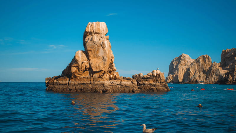 Cabo San Lucas: Tour paseo al Arco + bajada en playa - Starting Point at Pochos Cabos Activities for an Efficient Experience