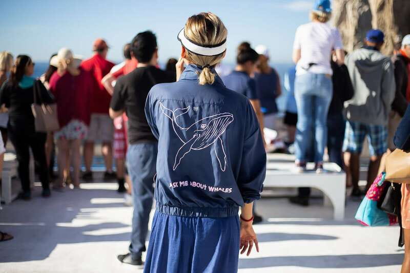 Cabo San Lucas: Whale Watching Breakfast Cruise - Departure Point at La Terminal de Cabo in Cabo San Lucas Marina